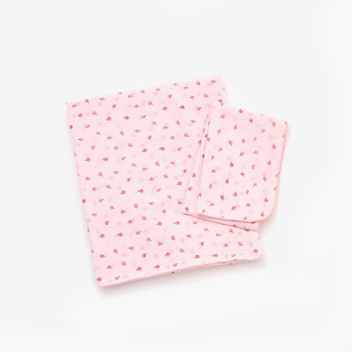 Thin blanket &amp; hand towel 